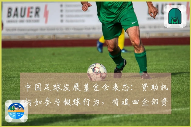 中国足球发展基金会表态：资助机构如参与假球行为，将追回全部资金
